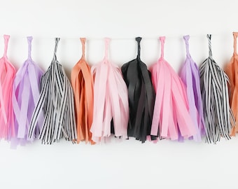 May include: A garland of tissue paper tassels in various colours, including pink, purple, orange, black, and white stripes. The tassels are strung together with white string.