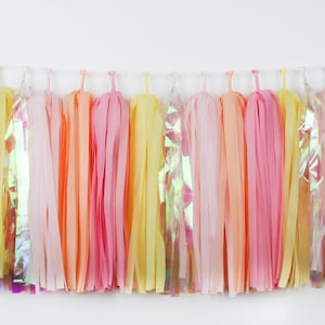 Sherbet Sun Tassel Garland – Pastel Citrus Party Decor – Orange Pink Yellow – Ice Cream - Main Squeeze Sunshine Baby Shower - Summer Theme