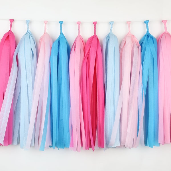Blue Pink Tassel Garland - Friendship Bracelet - Cotton Candy - Gender Reveal - Era Birthday - Lover - Baby Shower - Bachelorette Party