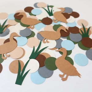 May include: A collection of brown paper duck cutouts, green paper grass cutouts, and assorted colored paper circles in shades of brown, beige, blue, and gray.