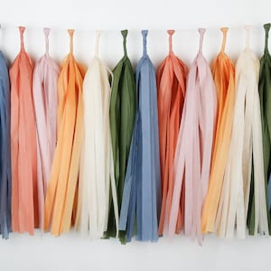 Wildflowers Tissue Paper Tassel Garland - Locally Grown Farmers Market - Garden - Floral Baby Shower - Boho Bridal - Love is in Bloom