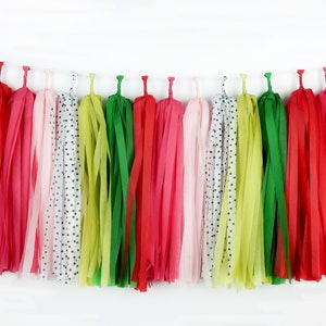Watermelon Tassel Garland – One in a Melon First Birthday Decor – Watermelon Birthday Decorations – Watermelon Baby Shower – Pink and Green
