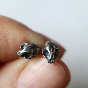 Raccoon Skull Studs