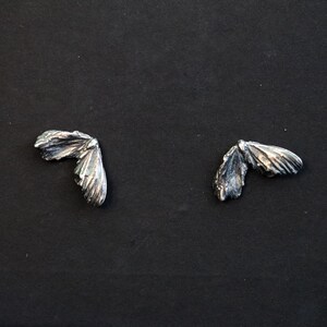 Silence |  Moth Studs
