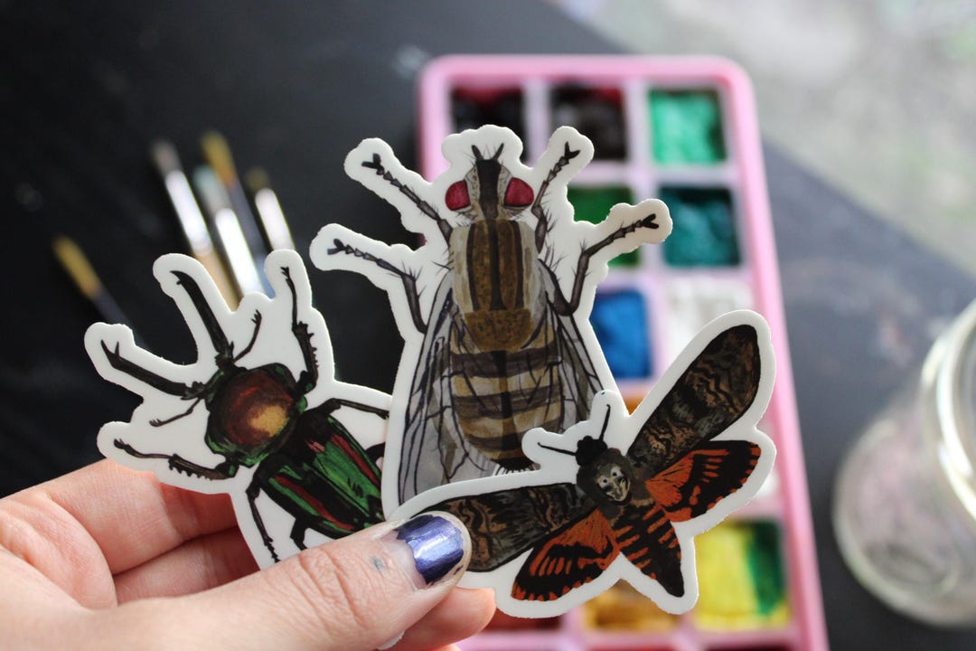 Insect Stickers | Fly | Stag Beetle | Death Moth - Etsy