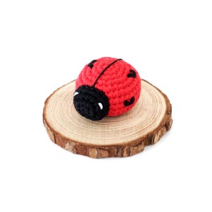 Love Bug Crochet PATTERN, Ladybird Crochet Pattern, Ladybug Crochet Pattern, Ladybug Amigurumi, Crochet Ladybird, Valentine&#39;s Day pattern