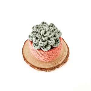 Crochet Succulent PATTERN, Succulent Amigurumi Pattern, Crochet Pot Plant, Plant Lover Gift, No-Sew Amigurumi Pattern, Succulent Plant image 8