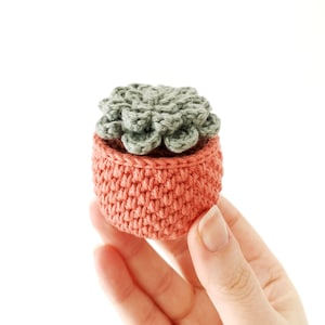 Crochet Succulent PATTERN, Succulent Amigurumi Pattern, Crochet Pot Plant, Plant Lover Gift, No-Sew Amigurumi Pattern, Succulent Plant image 4