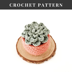 Crochet Succulent PATTERN, Succulent Amigurumi Pattern, Crochet Pot Plant, Plant Lover Gift, No-Sew Amigurumi Pattern, Succulent Plant image 3