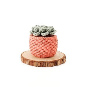 Crochet Succulent PATTERN, Succulent Amigurumi Pattern, Crochet Pot Plant, Plant Lover Gift, No-Sew Amigurumi Pattern, Succulent Plant image 6