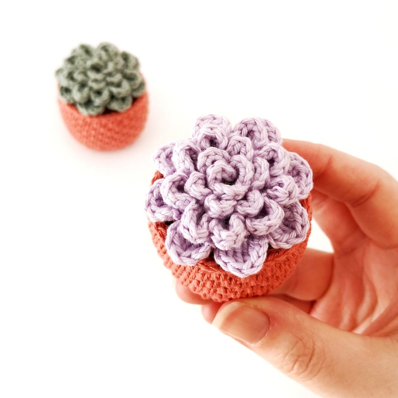 Crochet Succulent PATTERN, Succulent Amigurumi Pattern, Crochet Pot Plant, Plant Lover Gift, No-Sew Amigurumi Pattern, Succulent Plant image 1