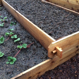 Cedar Raised bed boxes 6 feet long image 3