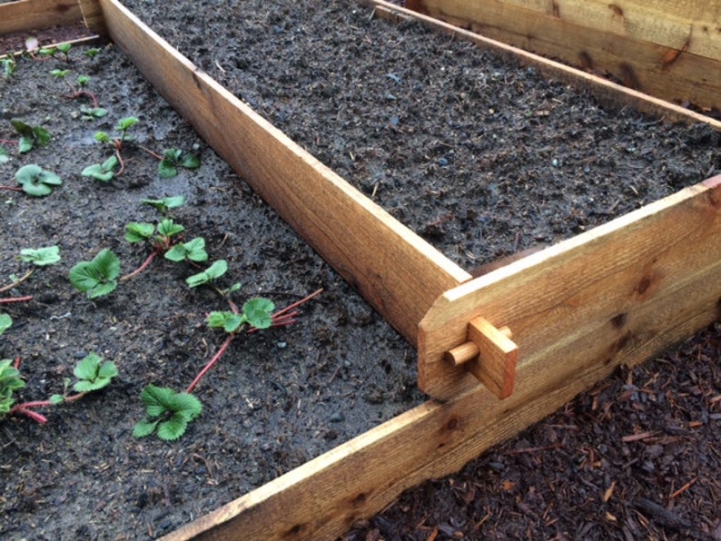 Cedar Raised bed boxes 6 feet long image 3