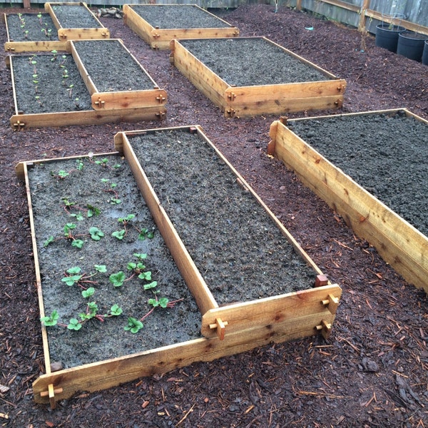 Cedar Raised bed boxes 4 feet long