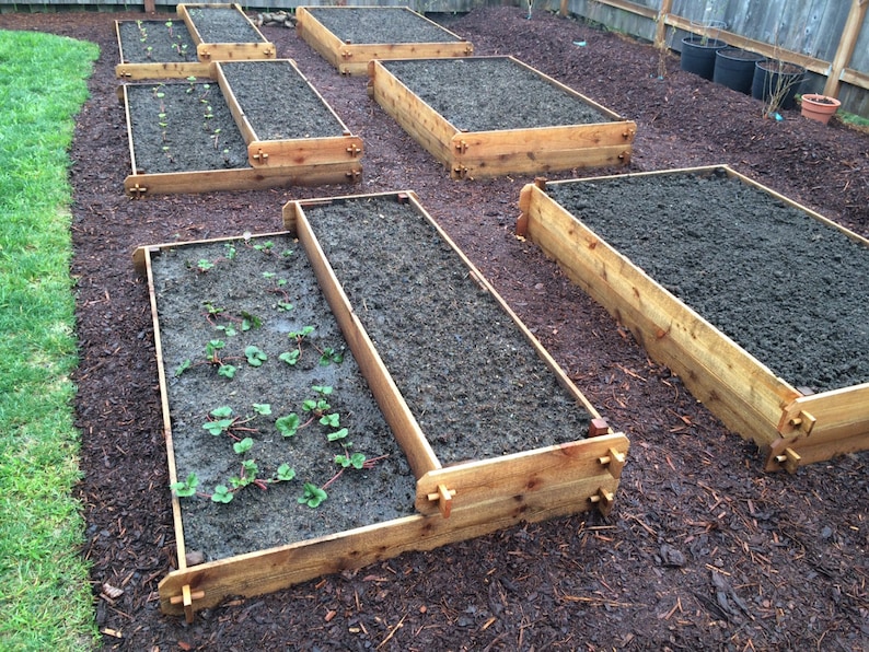 Cedar Raised bed boxes 6 feet long image 2