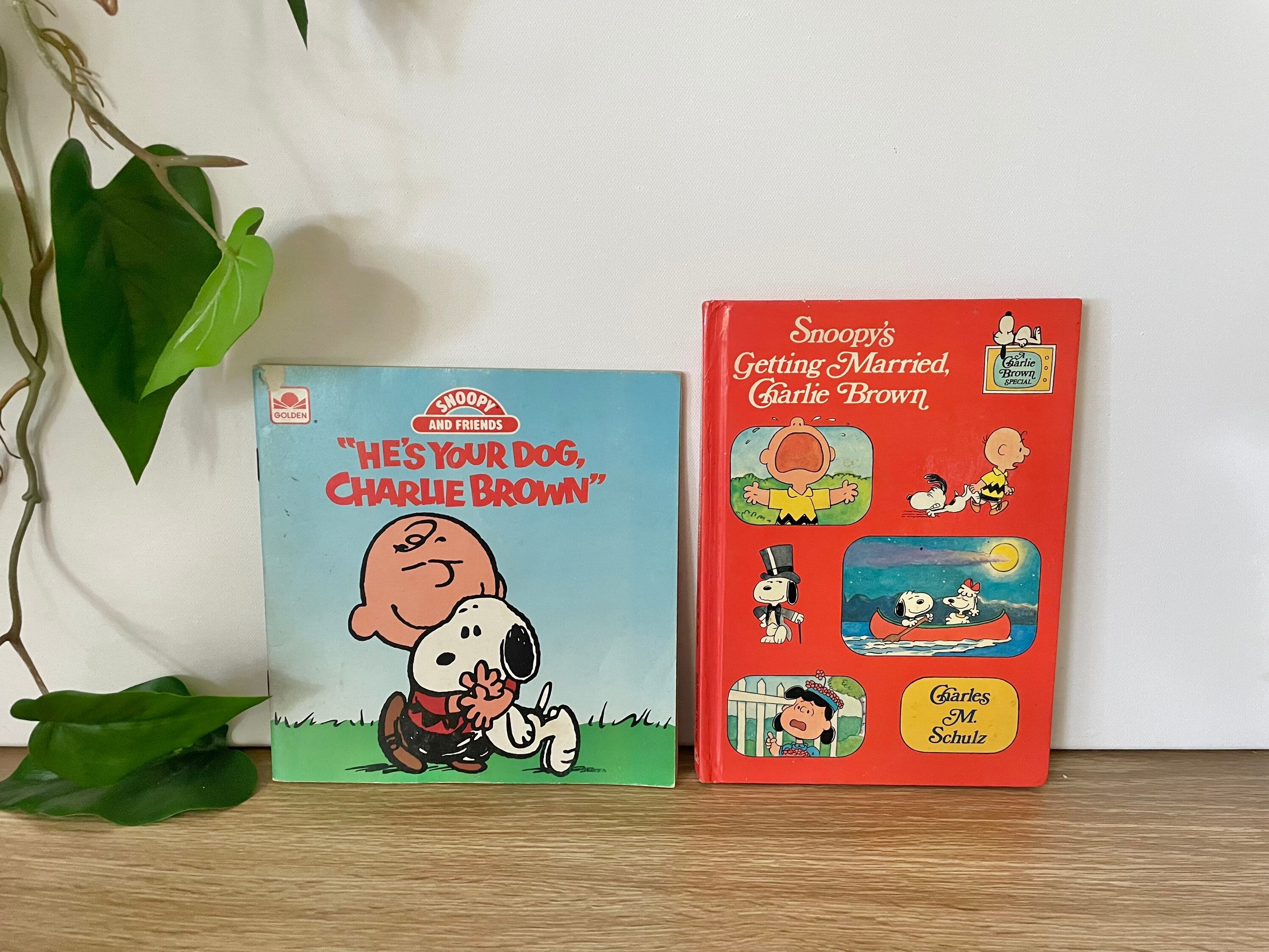 India　Comic　Snoopy　Buy　India　In　Books　Online　Etsy