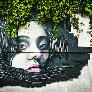 May include: A striking mural of a woman's face, rendered in shades of black, white, and pink, adorns a weathered wall. Lush green vines cascade from above, framing the artwork. The artwork is divided by a horizontal line.