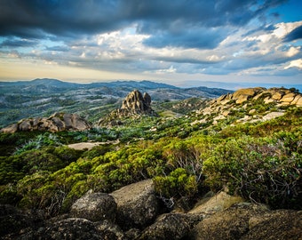 Panorama Photography, Large Panoramic, Rustic Decor, Landscape Photo, Mount Buffalo, Australia Photo, Scenic Nature Print, Forest Wall Art