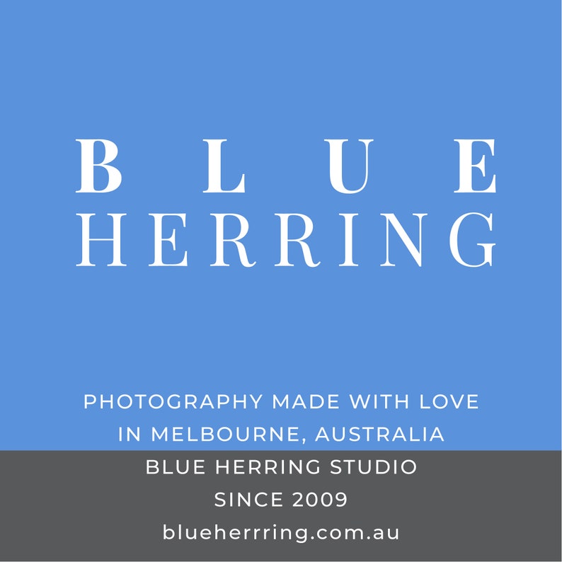 May include: Blue Herring Photography Studio logo with the text "Photography Made With Love In Melbourne, Australia" and "Blue Herring Studio Since 2009" and the website address "blueherrring.com.au".