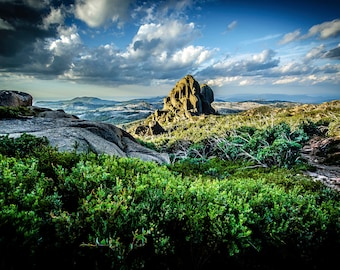 Australia Photography, Mount Buffalo, Nature Prints, Panoramic Wall Art, National Park Poster, Large Home Decor, Landscape Canvas, Gift for