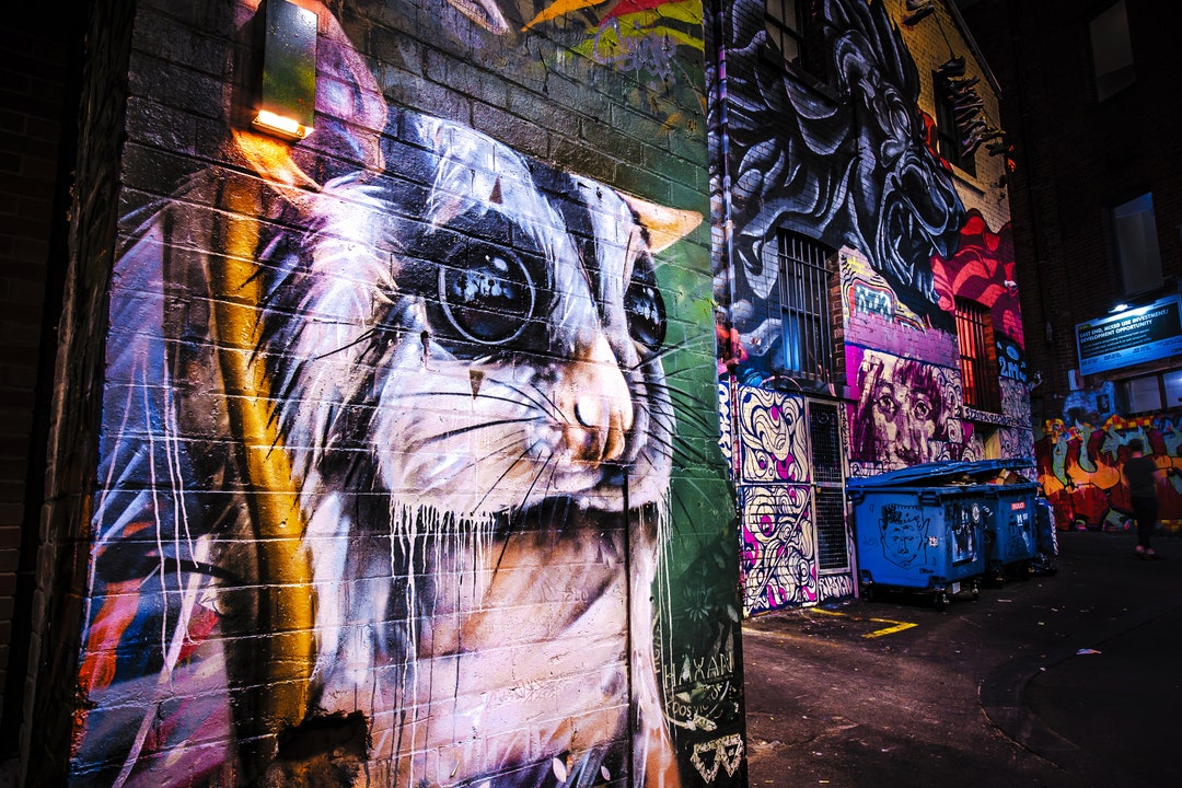 Street Art: Melbourne　洋書 Melbourne Graffiti, Melbourne Print, ACDC Lane, Street Art Wall