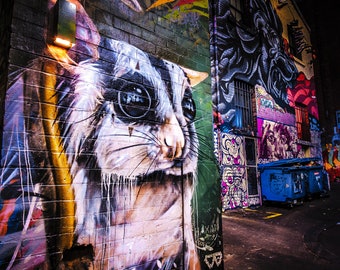 Melbourne Graffiti, Melbourne Print, ACDC Lane, Street Art Wall Art, Australia Gift, Color Street, Possum Art, boyfriend gift for him, photo