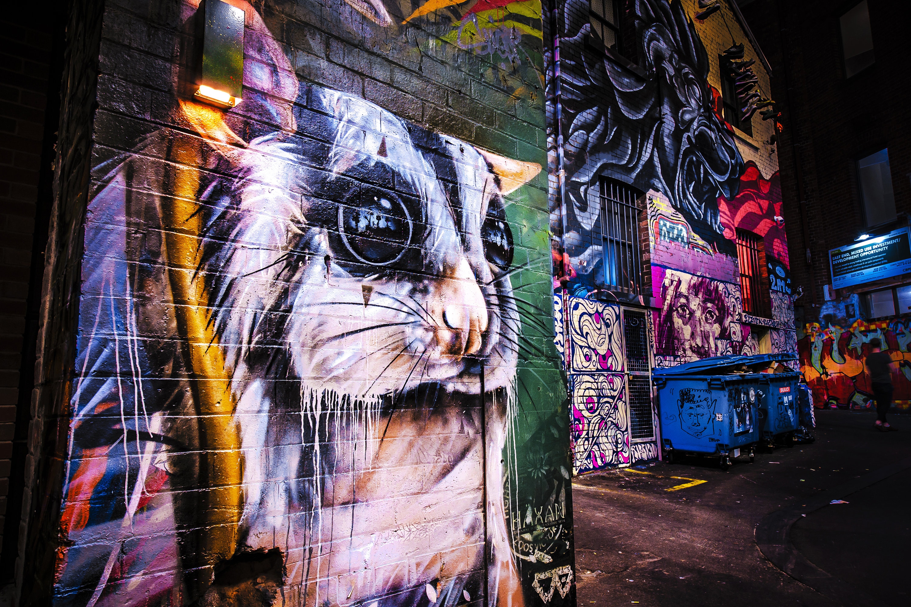Melbourne Graffiti, Melbourne Print, ACDC Lane, Street Art ...