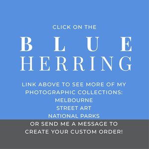 May include: Blue text on a light blue background reads "Click on the BLUE HERRING" followed by "Link above to see more of my photographic collections: MELBOURNE STREET ART NATIONAL PARKS" and "OR SEND ME A MESSAGE TO CREATE YOUR CUSTOM ORDER!"