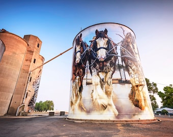 Silo Art Trail, Street Art Photo, Graffiti, Australian Made, travel photography, wall decor, extra large canvas, Birthday Gifts, Melbourne