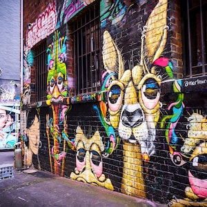 May include: A colourful street art mural featuring a large, yellow, cartoon animal with big, blue eyes and a long, pointed nose. The animal is surrounded by other colourful cartoon animals and abstract shapes. The mural is painted on a brick wall and has the text "@mertmurray" and "Scotty Murray" written on it.