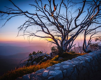 Australia Wall Art, Panoramic Print, Mount Buffalo National Park, Extra Large Art, Mountain Decor, Landscape Photo, Christmas Gift for him