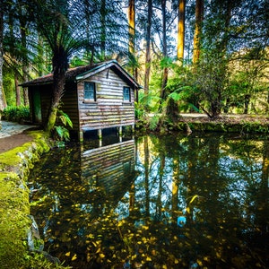 Könnte beinhalten: Ein Holzhaus auf Stelzen steht an einem Teich, umgeben von üppigen grünen Bäumen und Blättern. Das verwitterte Holz des Hauses und die kleinen Fenster spiegeln sich im ruhigen Wasser. Die Szene ist von natürlichem Licht durchflutet, was eine ruhige Waldlandschaft schafft.