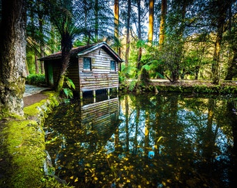 Forest Lake Print, Boathouse Decor, Nature Photography, Alfred Nicholas Garden, Photo on Canvas, Australia wall art, Birthday Gift for him