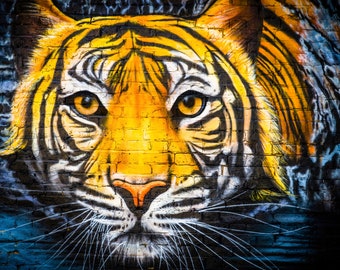 London Street Art Photography, Tiger Wall Art, big cat, Graffiti Print, best birthday gift, zoom background, extra large canvas, spray paint