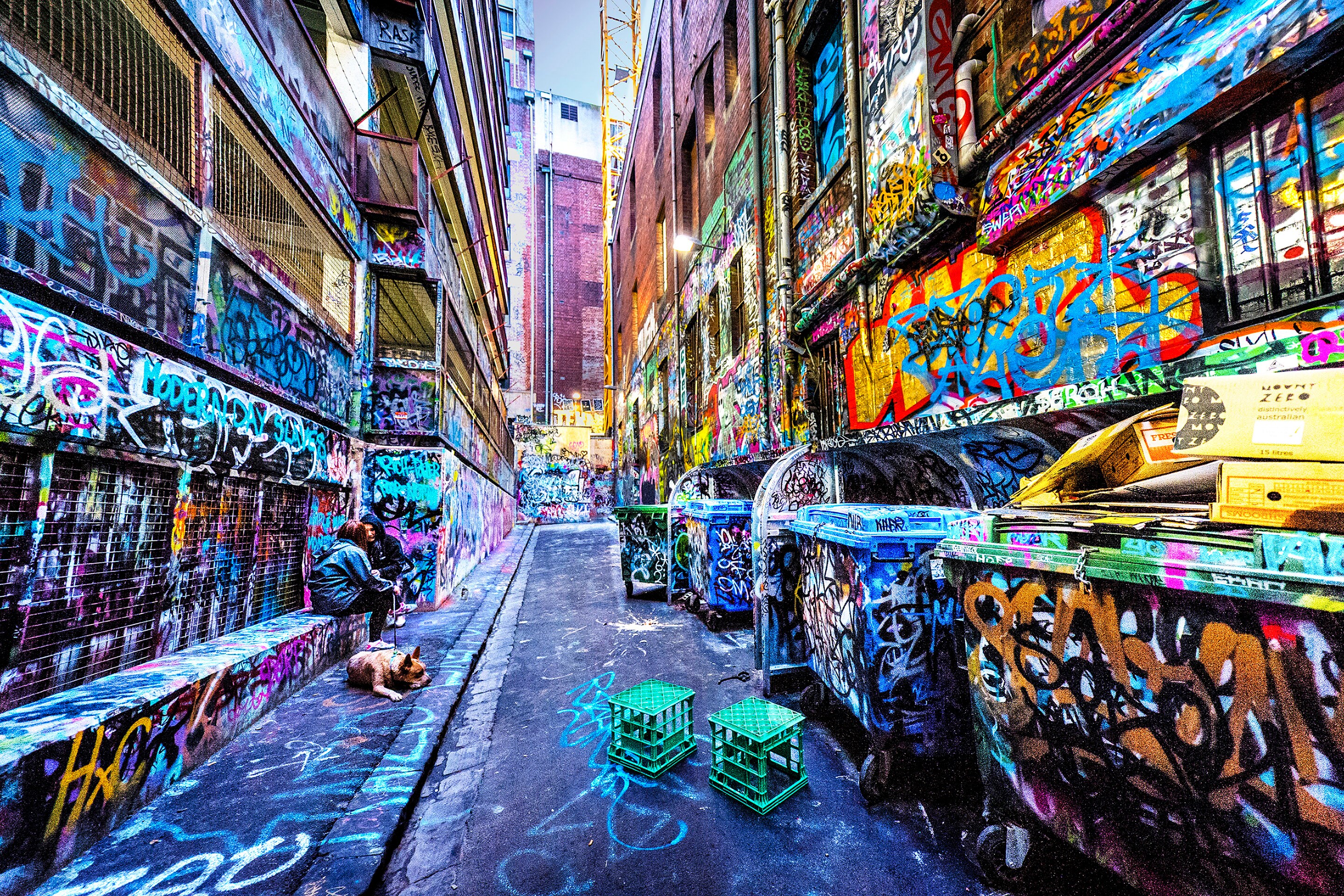 Hosier Lane Street Art November Updates The Gap Year And 43 OFF
