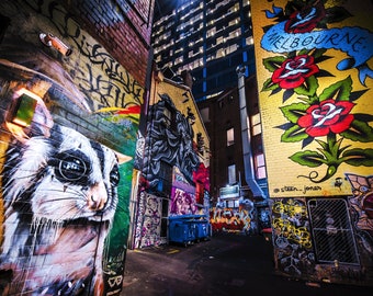 Street Art Print, Graffiti Wall Art, Melbourne Australia, Photography Poster, ACDC Lane, Sugar Glider Possum, Mothers Day Gift for Her