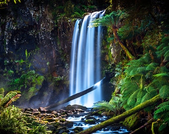 Great Ocean Road, Australia Travel Poster, Waterfall Photo, Hopetoun Falls, Extra Large Art, Nature Photography, rainforest print, Christmas