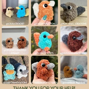 May include: A collage of nine images showcasing crocheted plush toys in the shape of platypuses. Each image features a different color and design, with some featuring multiple platypuses. The images are arranged in a grid format, with the text "TESTER APPRECIATION!" at the top and "THANK YOU FOR YOUR HELP! FIND THEIR CREATIONS ON INSTAGRAM!" at the bottom.