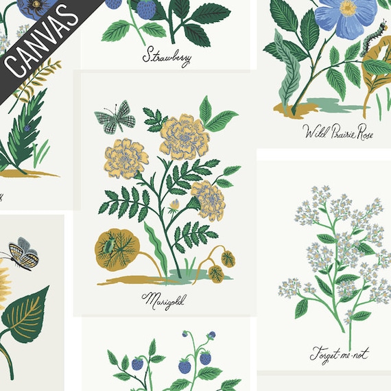 Curio, Botanical Prints, Blue-Multi CANVAS Fabric, RP1101-BM4C,  By Rifle Paper Co, for Cotton+Steel, sold by the 1/2 yard or the yard