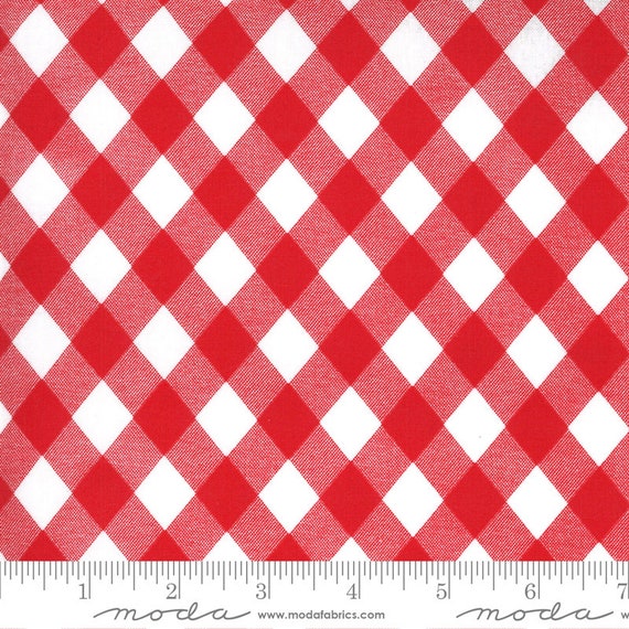Sunday Stroll, red and white, ROT Coated (laminated cotton fabirc), by Bonnie & Camille, 55227 12C, Moda, sold by the yard