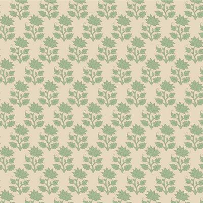 Sanctuary - Mira in Sage Sanctuary - Mira in Sage