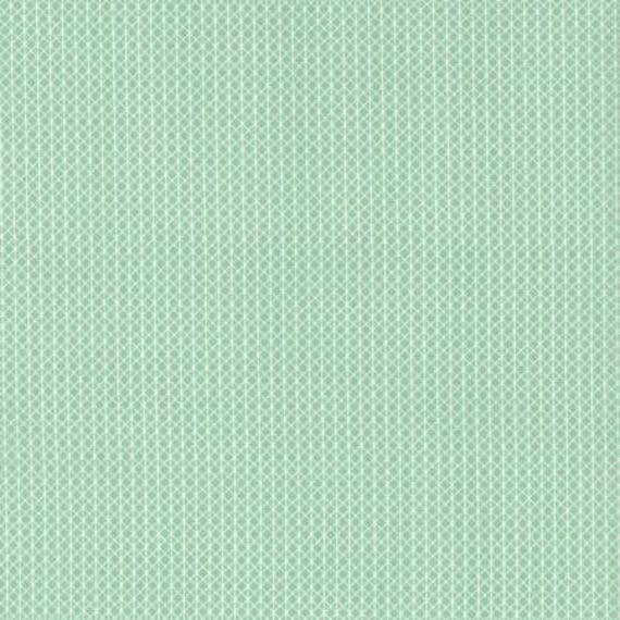 Cotton + Steel Basics - Netorious - Jam Jar Fabric-C5000-003- Cotton and Steel/RJR, Sold by the 1/2 yard or the yard