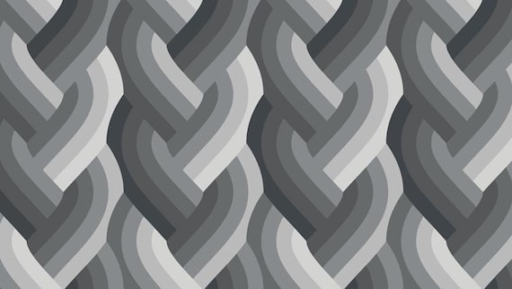 Echo Braid Black 42380 14 Moda Sold by the Yard