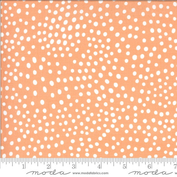 Zoology Flamingo, By Gingiber, 48305 14 Moda, sold by the 1/2 yard or the yard