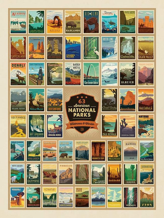 National Parks Wilderness Wonders Panel P9770-WILDERNESS | Riley Blake |Quilt By Panel