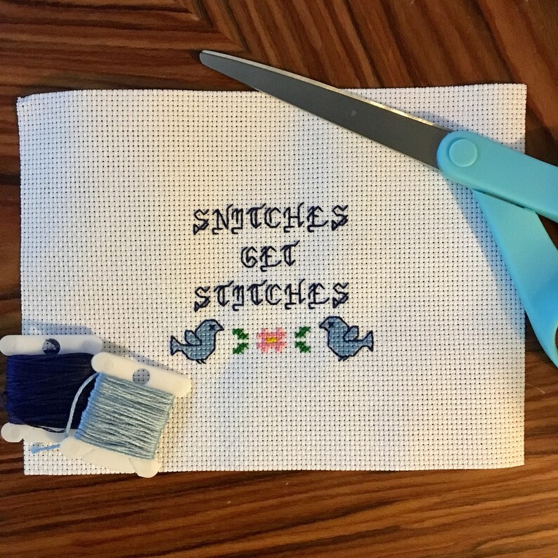 Snitches Get Stitches Cross Stitch Funny Embroidery Adult Etsy