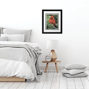 Rory the Cardinal Acrylic Painting 8x10 Print, Matted to 11x14 image 5