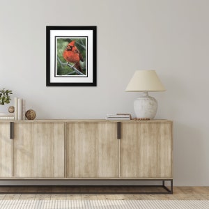 Rory the Cardinal Acrylic Painting 8x10 Print, Matted to 11x14 image 6