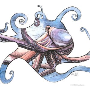 Octopus, illustration, 8x10 print, archival, color print