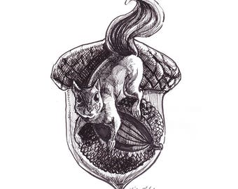 The Squirrel, acorn, Pen and ink drawing, illustration, 8x10 print, black and white print